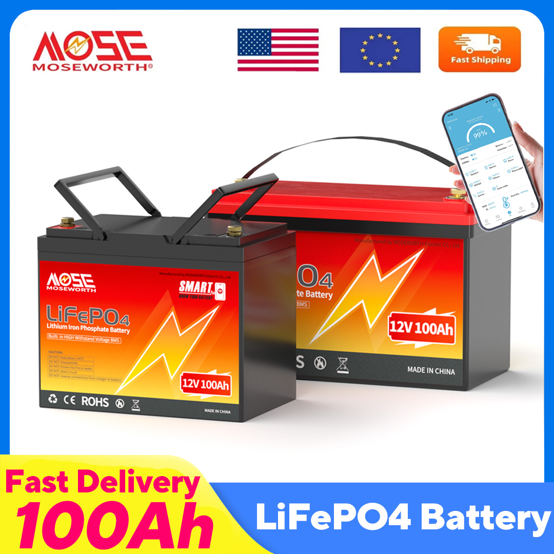 MOSEWORTH LiFePO4 12V 100Ah Ba - Lifepo4 12V 100Ah Bms Bluetooth ulasan dan harga