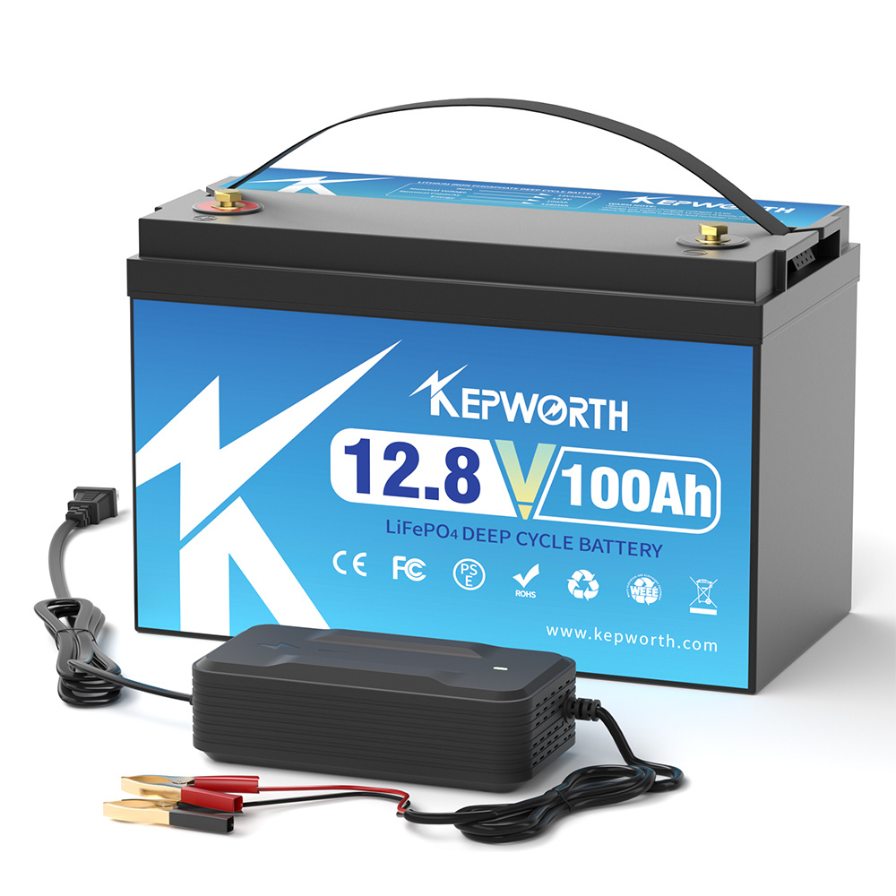 12V 24V 100AH 120AH 300AH LiFe - Lifepo4 12V 100Ah Bms Bluetooth ulasan dan harga